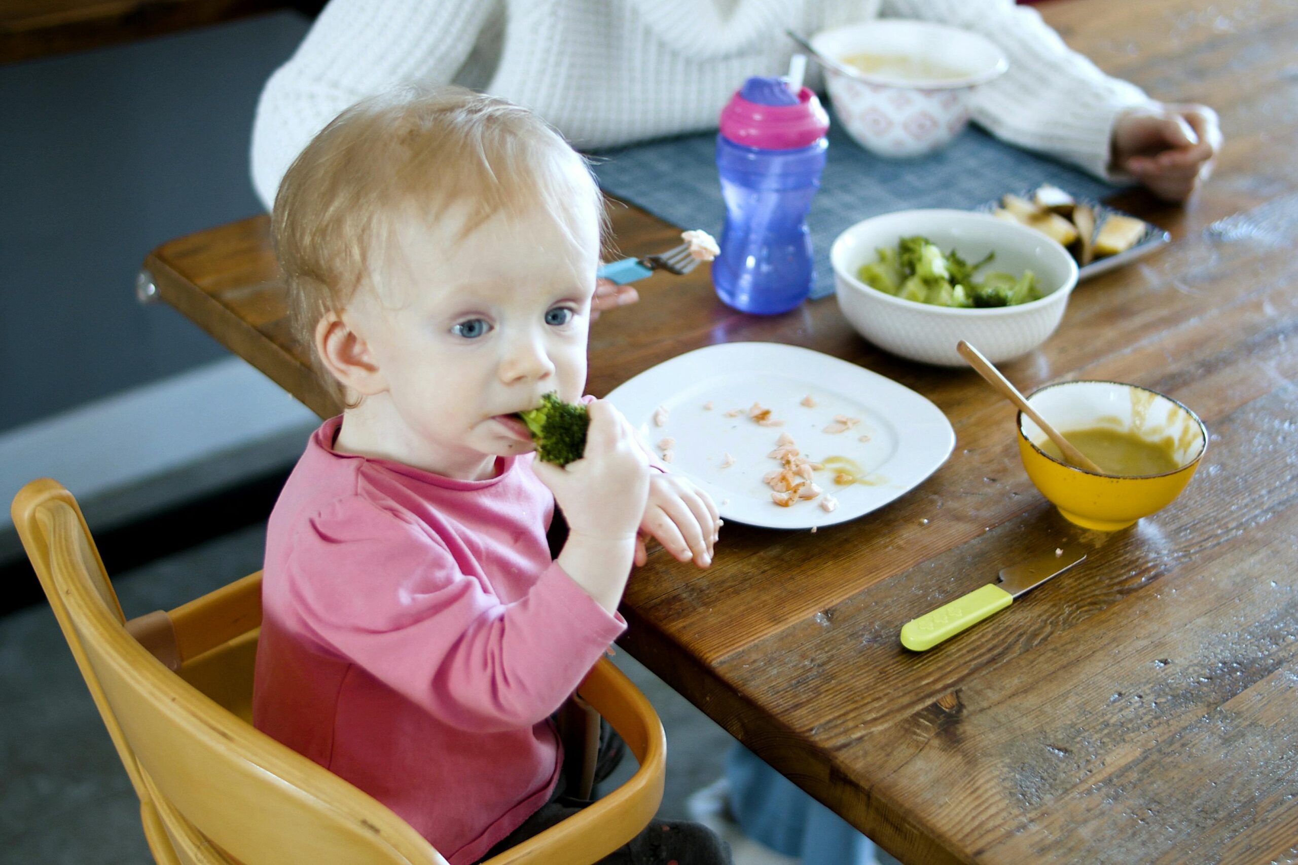 7 Most Common Reasons Why Baby Refuses to Eat