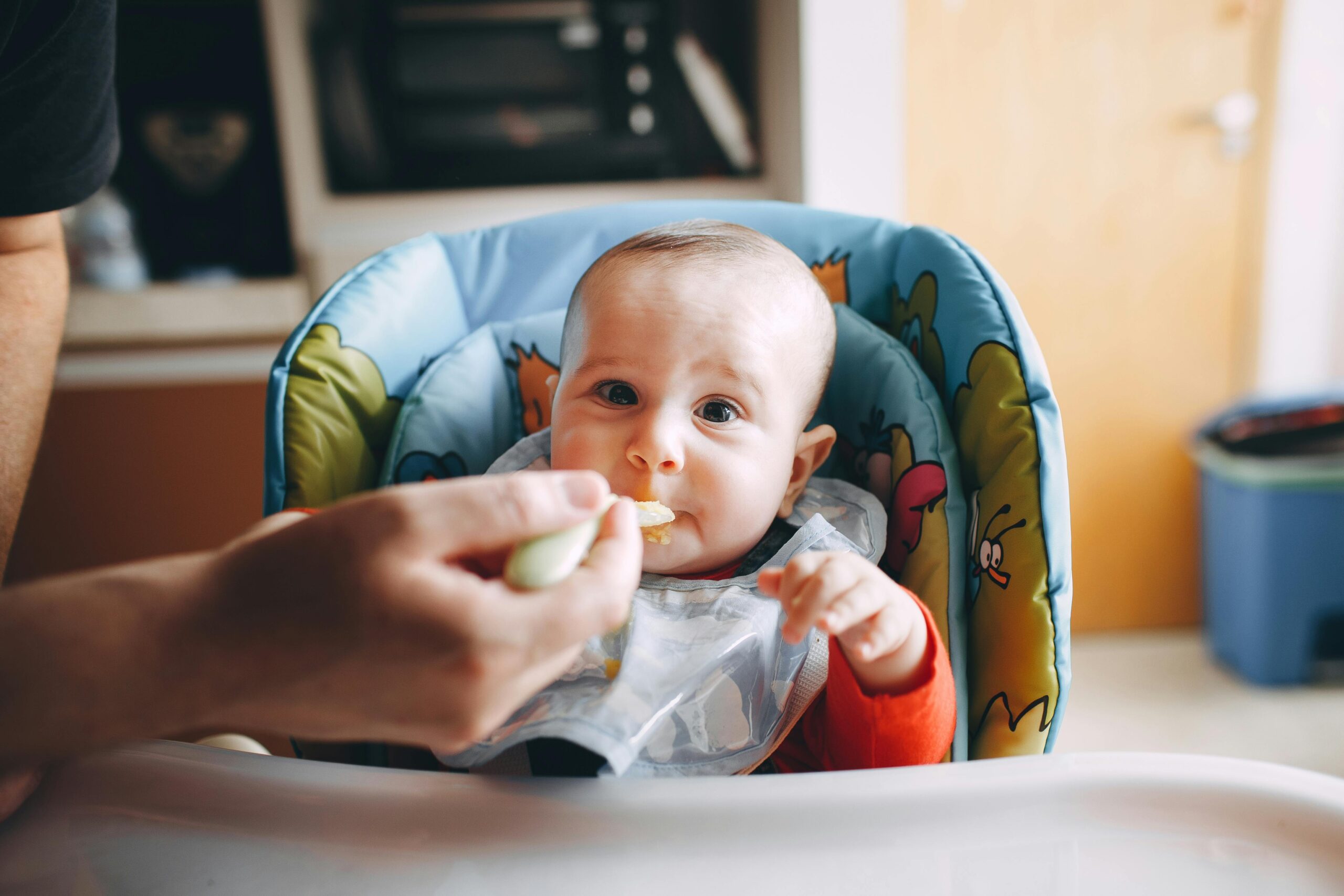 An Introduction to Baby's Nutrition in the First Year